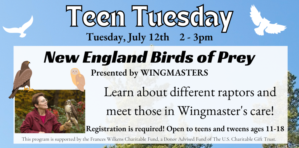 Teen Tuesday: Wingmasters